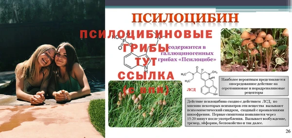 Альфа ПВП Алексин