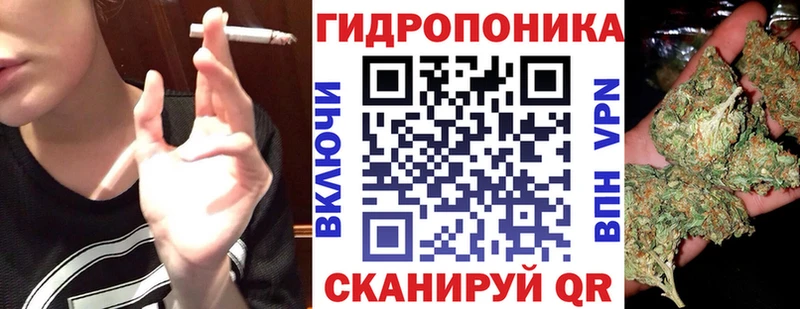МАРИХУАНА ГИДРОПОН продажа наркотиков Николаевск-на-Амуре
